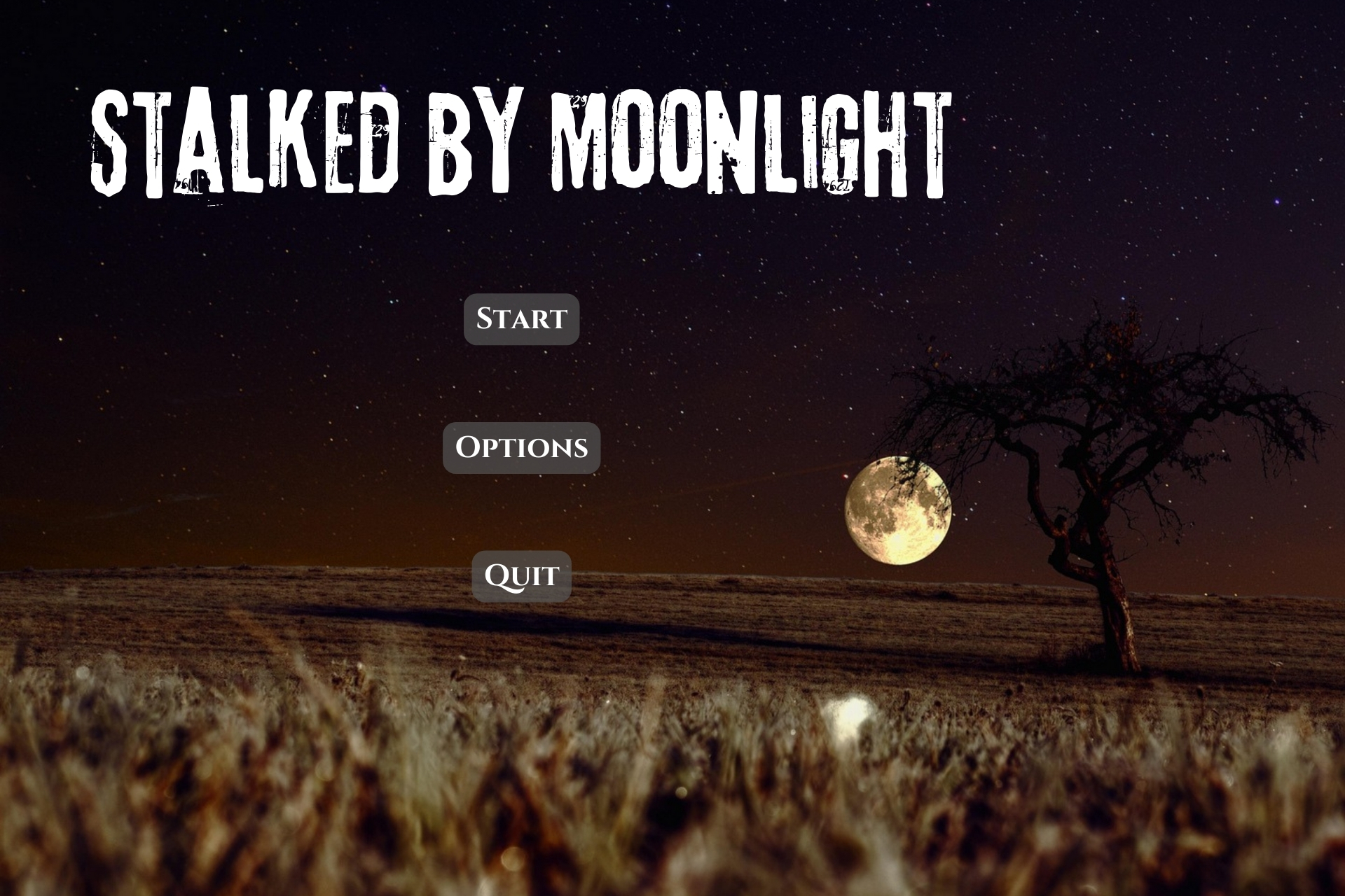 Interactive Narrative Design